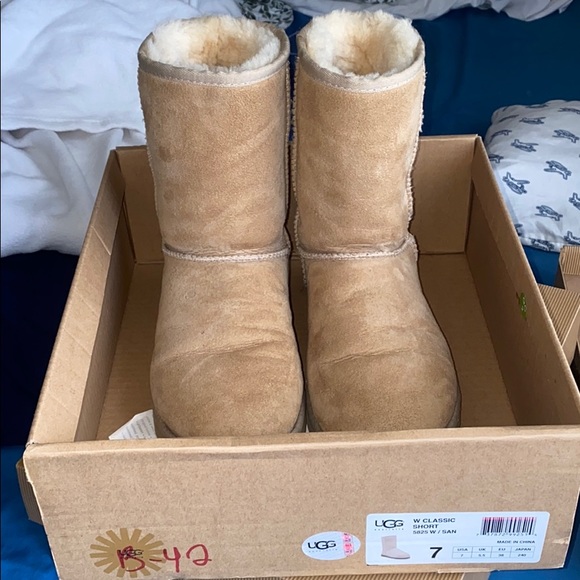 Short Uggs - Picture 5 of 5